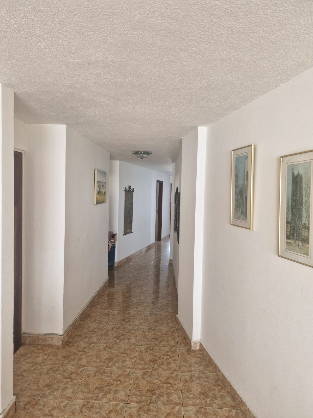 Apartamento 15-2A pasillo